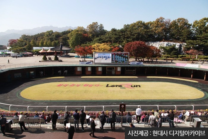 서울경마장 경주 장면