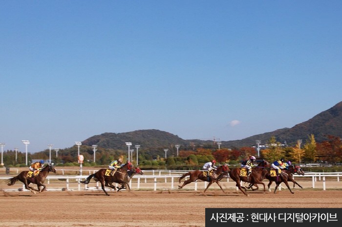 서울경마장 관람석