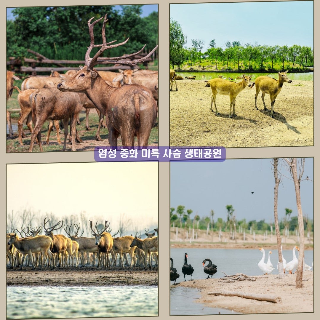 연운항 자연 관광지