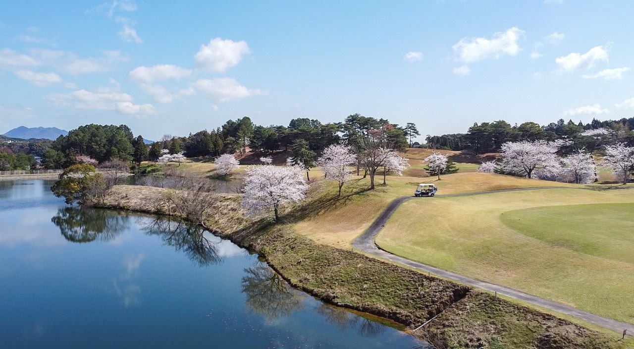 체리 컨트리클럽 (Cherry Country Club) 실사