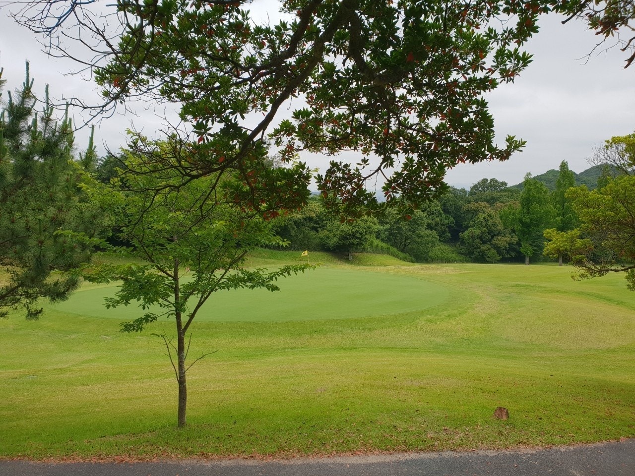 카츠야마고쇼 컨트리클럽 (Katsuyama Gosho Country Club) 실사