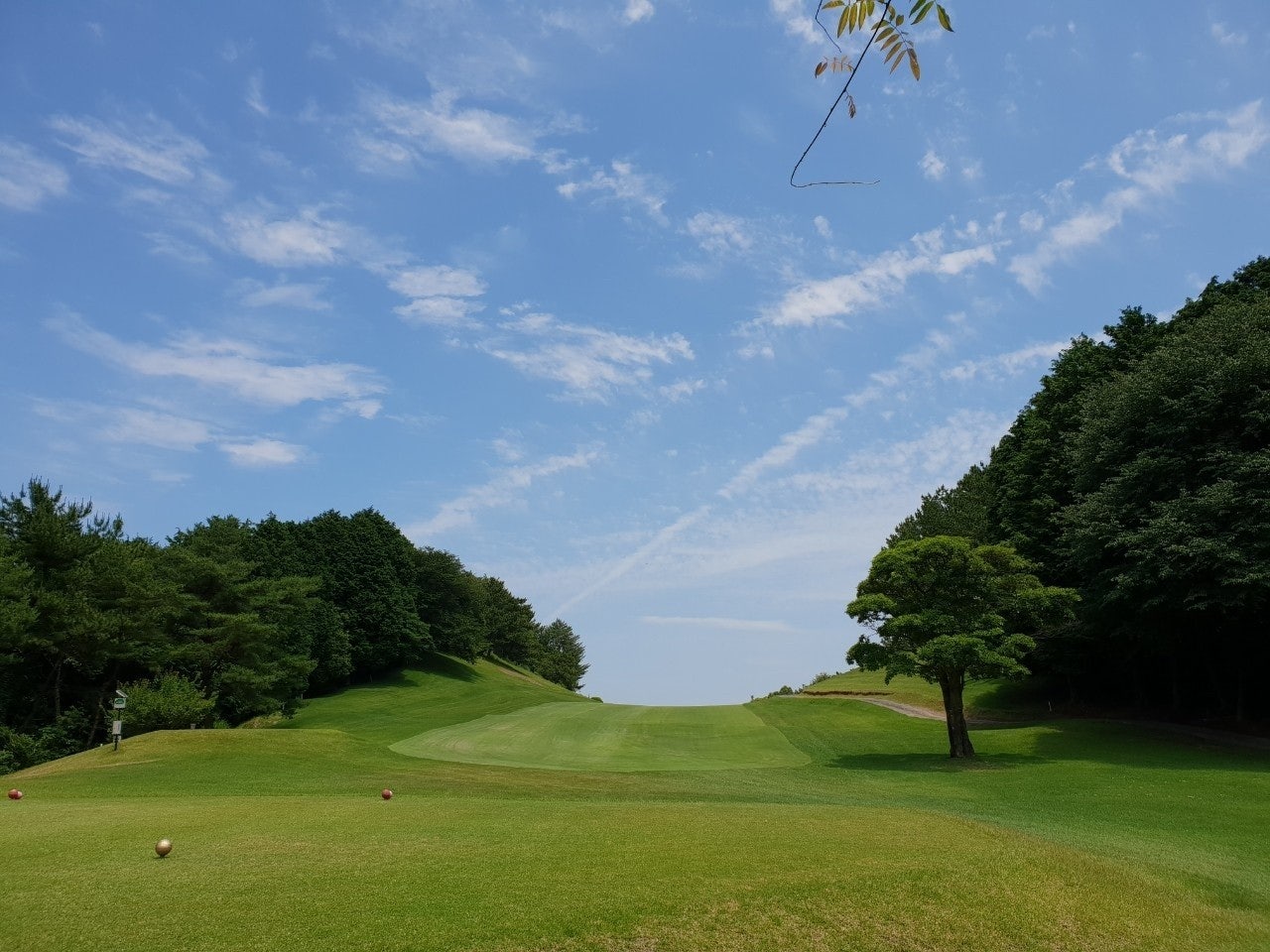 카츠야마고쇼 컨트리클럽 (Katsuyama Gosho Country Club) 실사