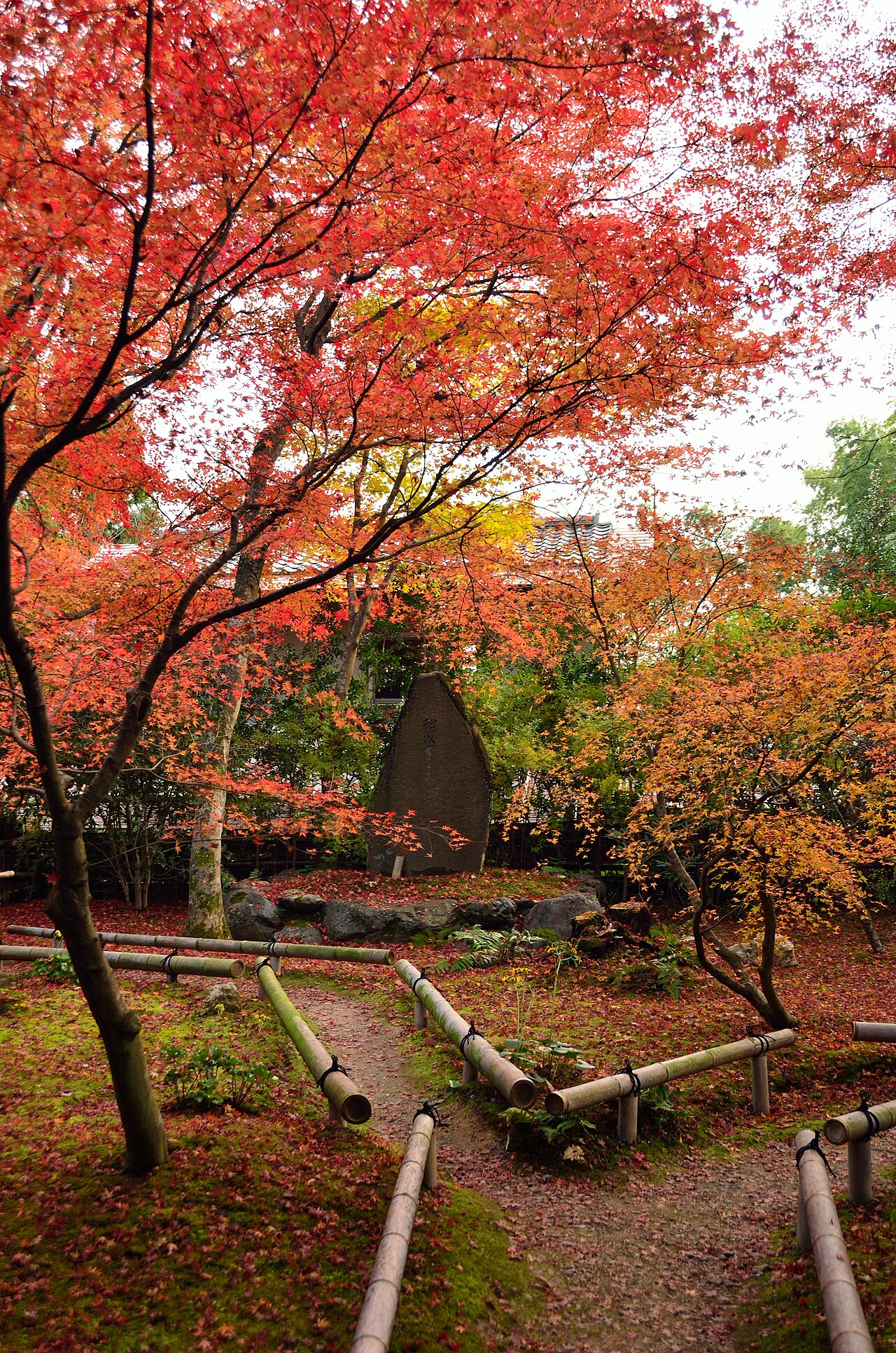 교토 단풍 사원