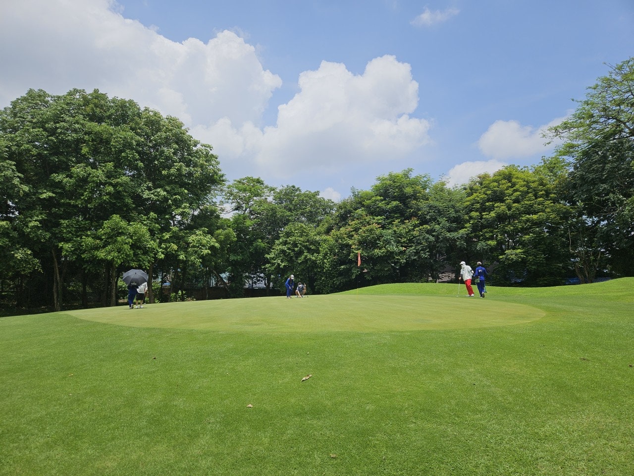 Pun Hlaing Golf Club 야자수가 보이는 페어웨이